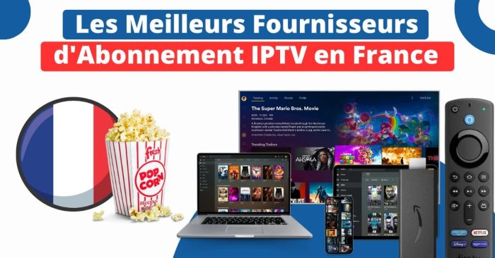 Les Meilleurs Fournisseurs d'Abonnement IPTV en France